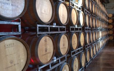 Bodegas Campoluz