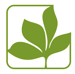 ELIS Cognita (Colegios El Limonar International School Murcia y Villamartín) – 50% de descuento