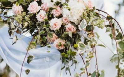 Floristería crisálida